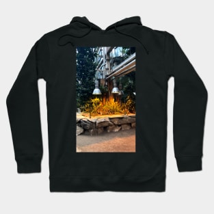 Warm light in botany Hoodie